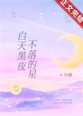 白天黑夜不落的星封面