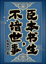 臣本书生，不谙世事……封面